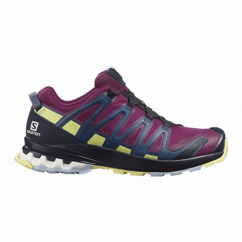 Chaussures De Randonnée Salomon Femme Violette - Salomon XA PRO 3D V8 GORE-TEX - France (4612-LSYKE)